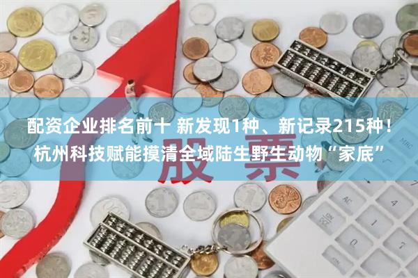 配资企业排名前十 新发现1种、新记录215种！杭州科技赋能摸清全域陆生野生动物“家底”