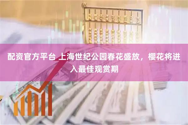 配资官方平台 上海世纪公园春花盛放，樱花将进入最佳观赏期